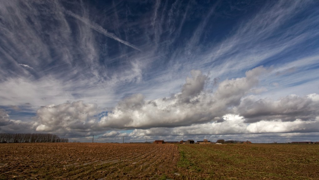 Countryside landscape